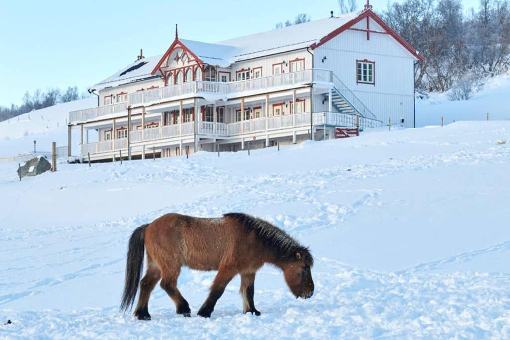 Hjerkinn Fjellstue - two bedroom apartment Eksteriør bilde